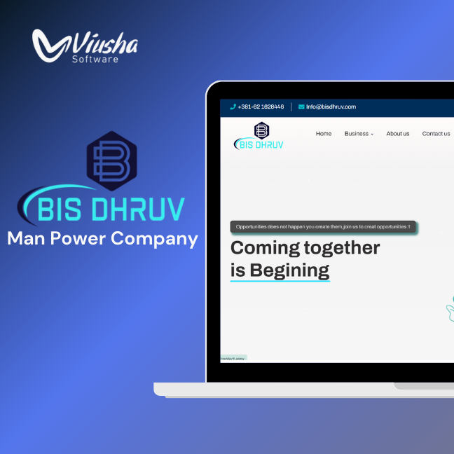 BIS Dhruv portfolio work